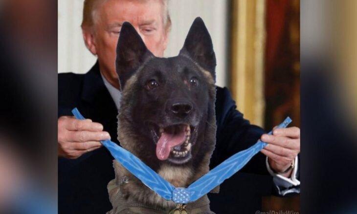 ترامپ خودش را با سگ عملیات قتل بغدادی مقایسه کرد!