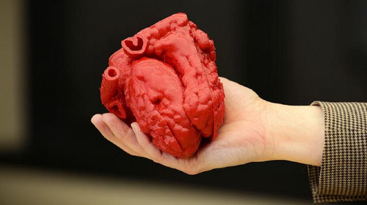 محققین توانستند قلب انسان را در خارج از بدن رشد بدهند