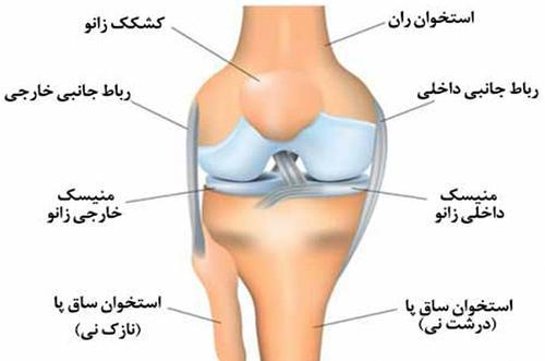 نکات قابل توجه درباره صدای مفاصل پا (کریپتاسیون) نکات قابل توجه درباره صدای مفاصل پا (کریپتاسیون)