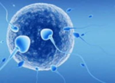 اولین فرزند IVF