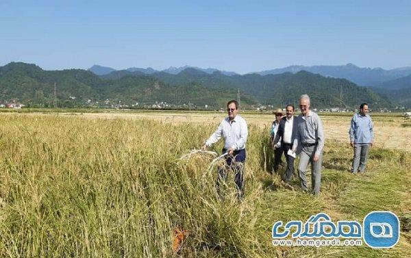 گردشگری کشاورزی فرصتی برای رونق اقتصاد روستاهای غرب مازندران است