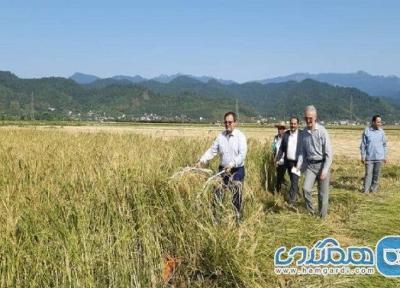 گردشگری کشاورزی فرصتی برای رونق اقتصاد روستاهای غرب مازندران است