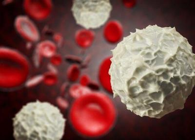 دانشمندان ایرانی سرطان خون را با ژن درمانی درمان کردند