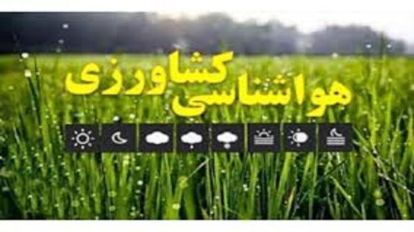 کشاورزان در برداشت و انتقال محصول به انبار تعجیل کنند کشاورزان در برداشت و انتقال محصول به انبار تعجیل نمایند