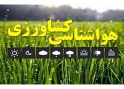 کشاورزان در برداشت و انتقال محصول به انبار تعجیل نمایند